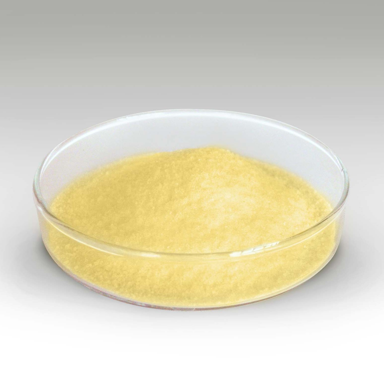 麻豆AV在线播放